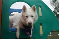 daycare pic 104 - oniko on equip